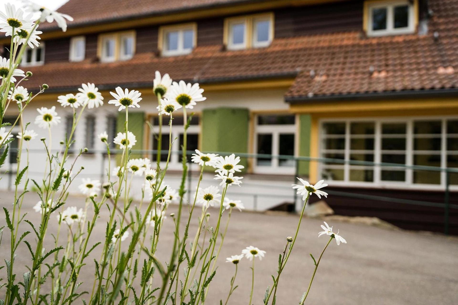 Pension Zum Hexenstieg Schierke Esterno foto